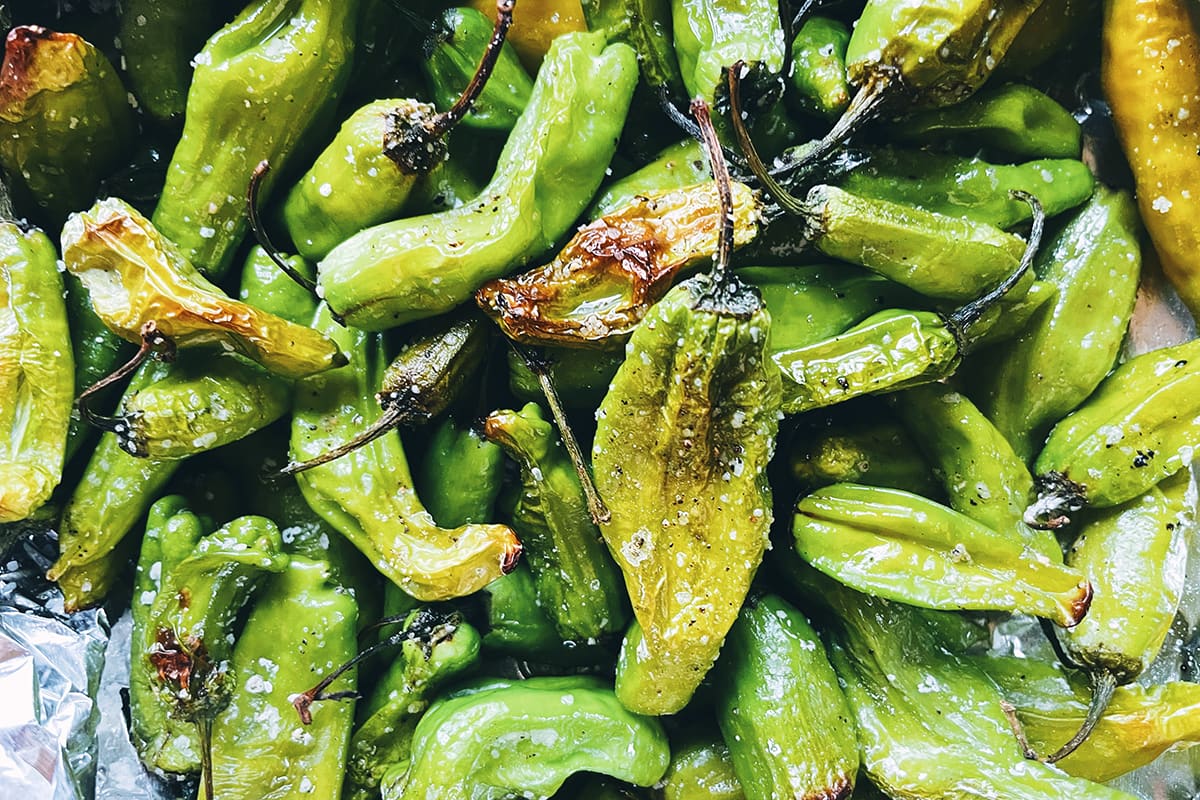 fried padron peppers