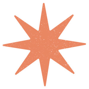 Hosting and planning icon orange star